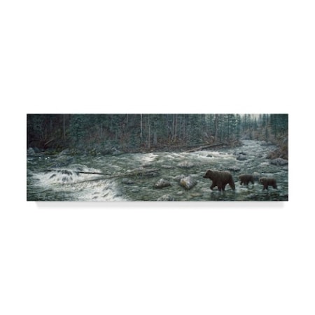 Jeff Tift 'Cool Creek' Canvas Art,8x24